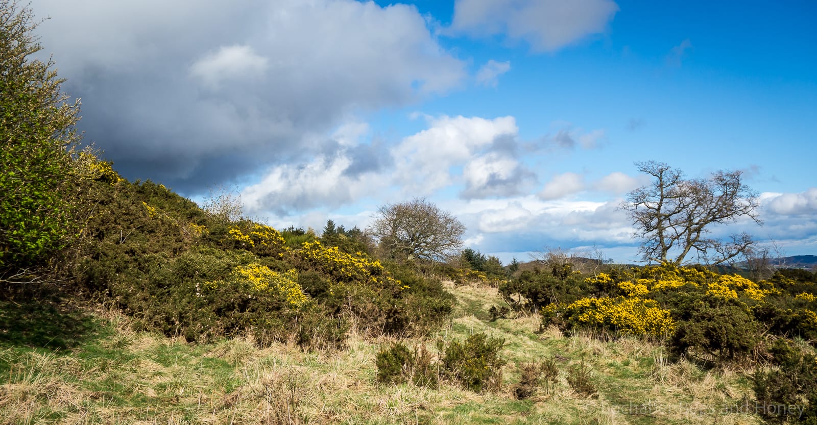 The North Fife Hills